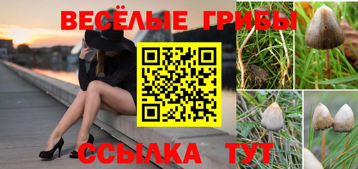 Псилоцибиновые грибы ЛСД  Галлюциногенные грибы мухоморы  Мирный  Вход с VPN 