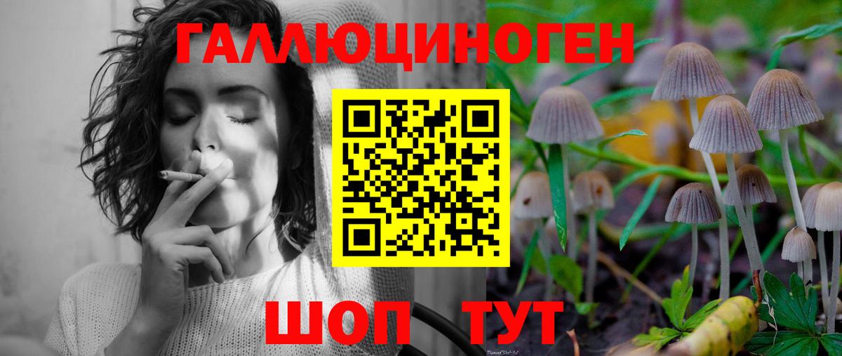 Псилоцибиновые грибы мицелий Мирный